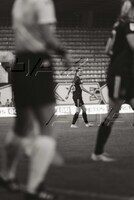 matchday-190.jpg